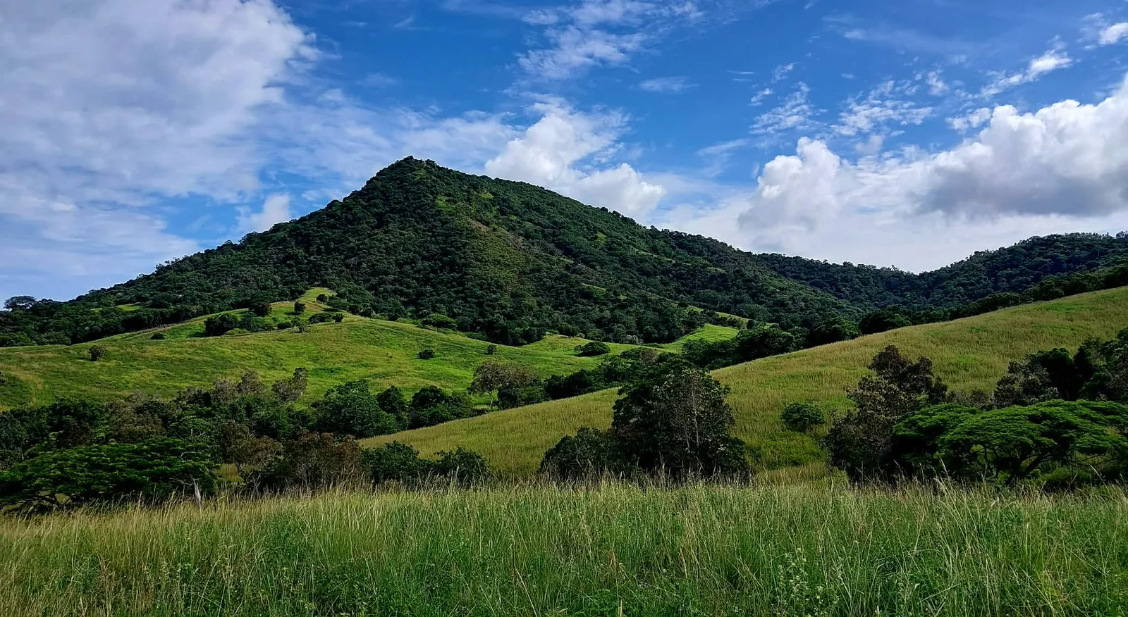 Collines de Moindou, côte ouest de la Nouvelle-Calédonie, où est distillé le rhum blanc La Métisse