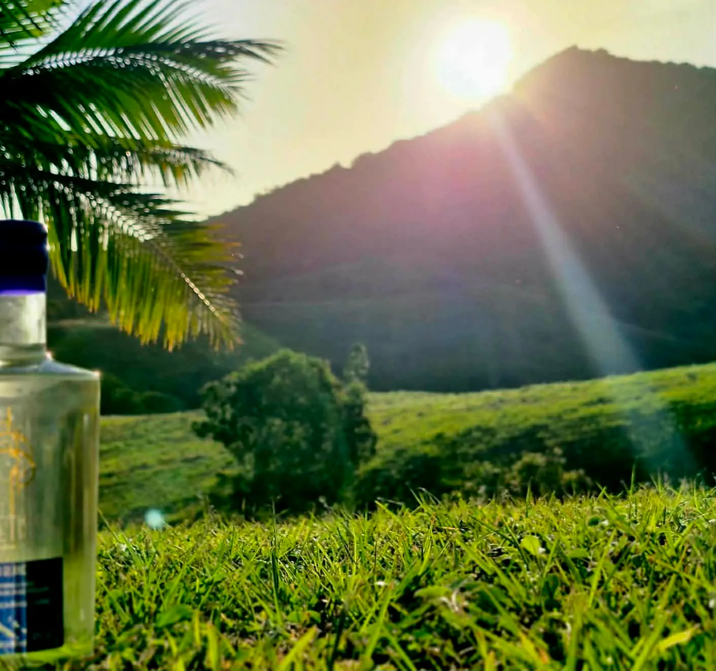 La Métisse rhum blanc devant les collines calédoniennes au soleil couchant